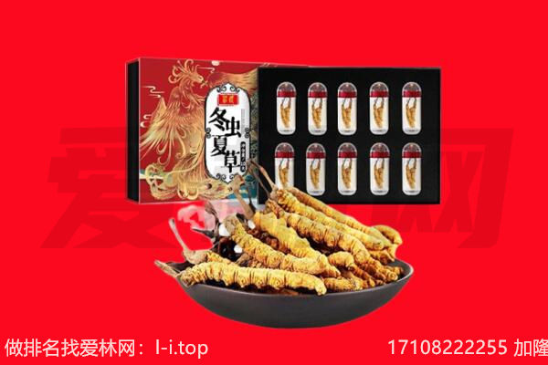 郴州回收虫草.jpg